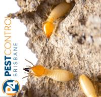 Termite Control Brisbane image 2